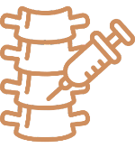 spine